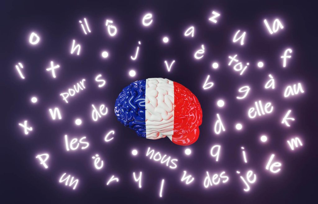 French Brain with French words